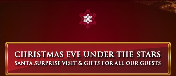 cite_holidayseason_2011_eflyer_final