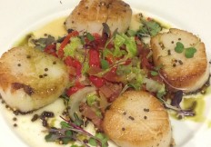 Diver Scallops