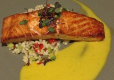 Salmon