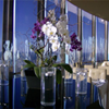 Cite Restaurant Flower Display 1